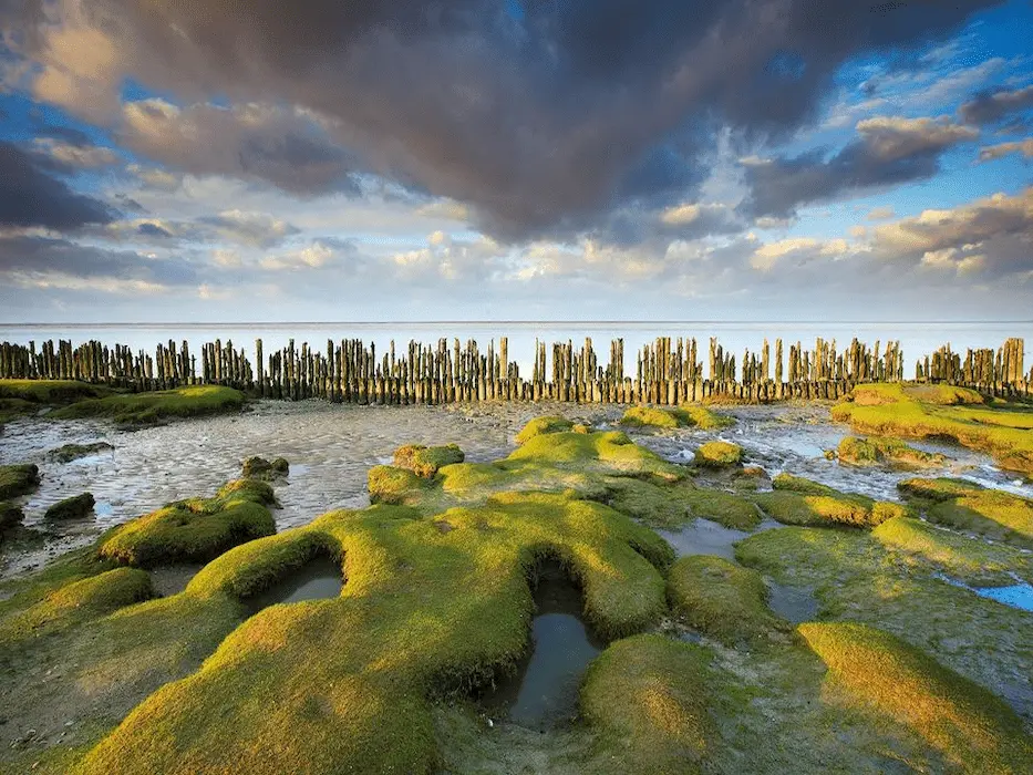 2-wadden visit groningen (1)