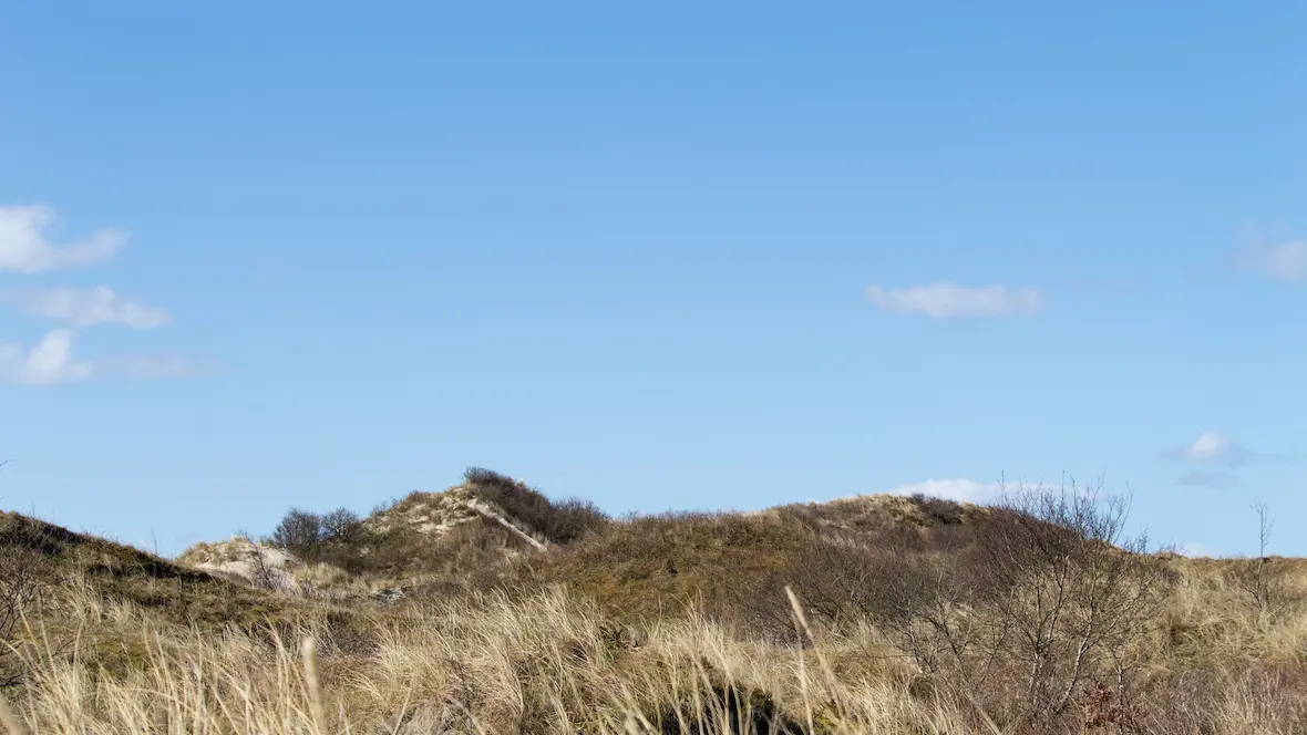 Gebied Islands Uitgelicht