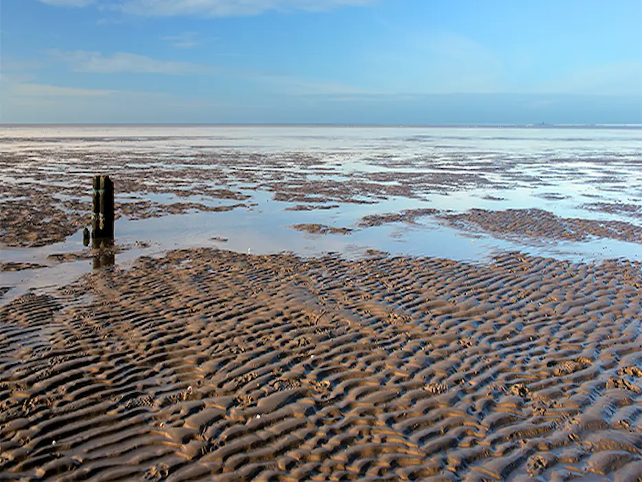 Mudsands, wadden