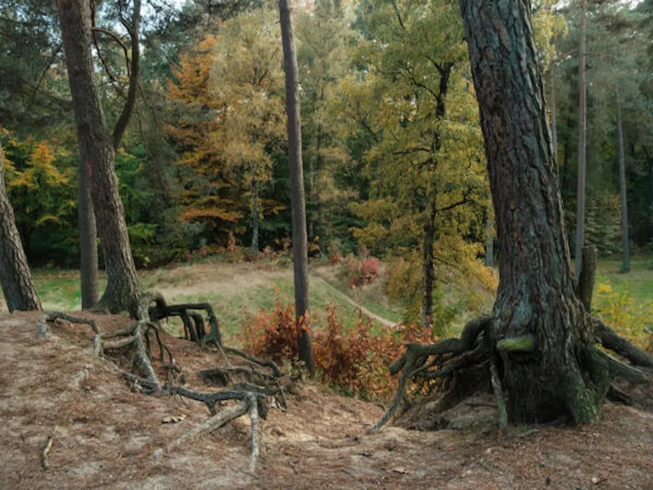 emmerdennen
