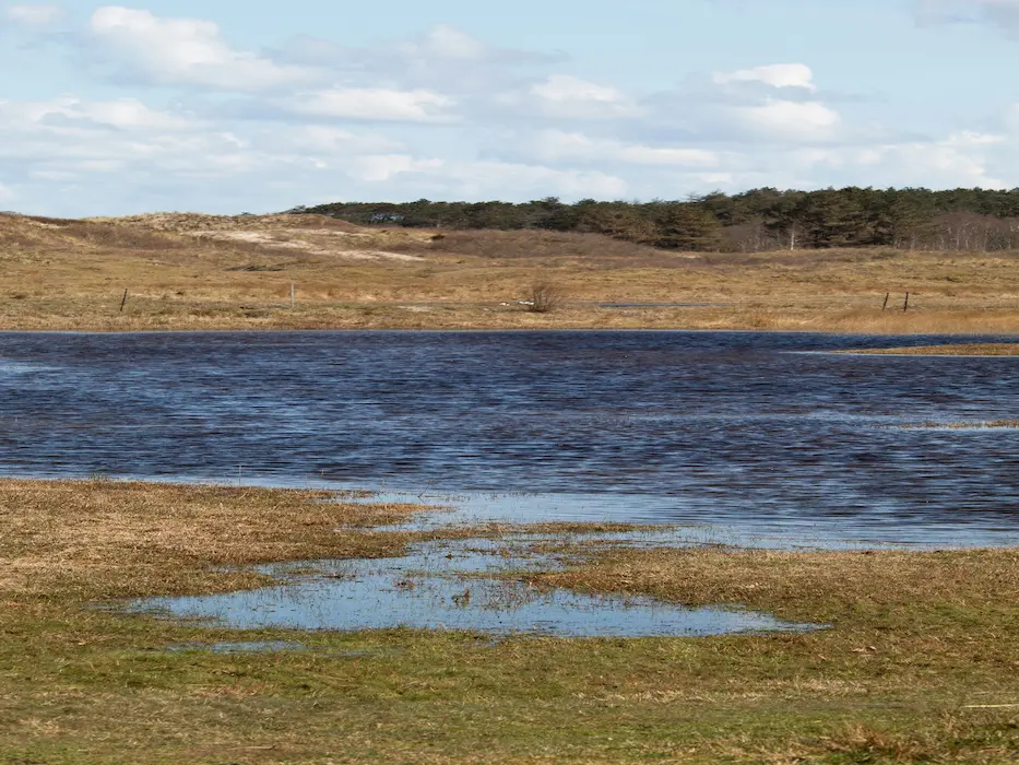 jonne-laagland-winder-bOXDkOcZ8mY-unsplash