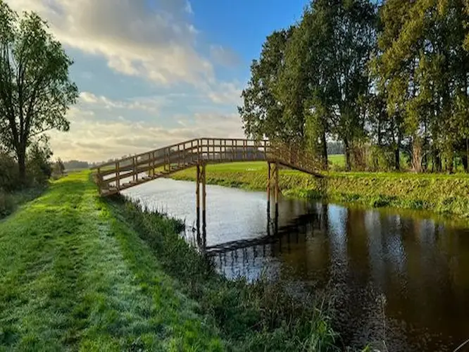 spijkerboor (1)